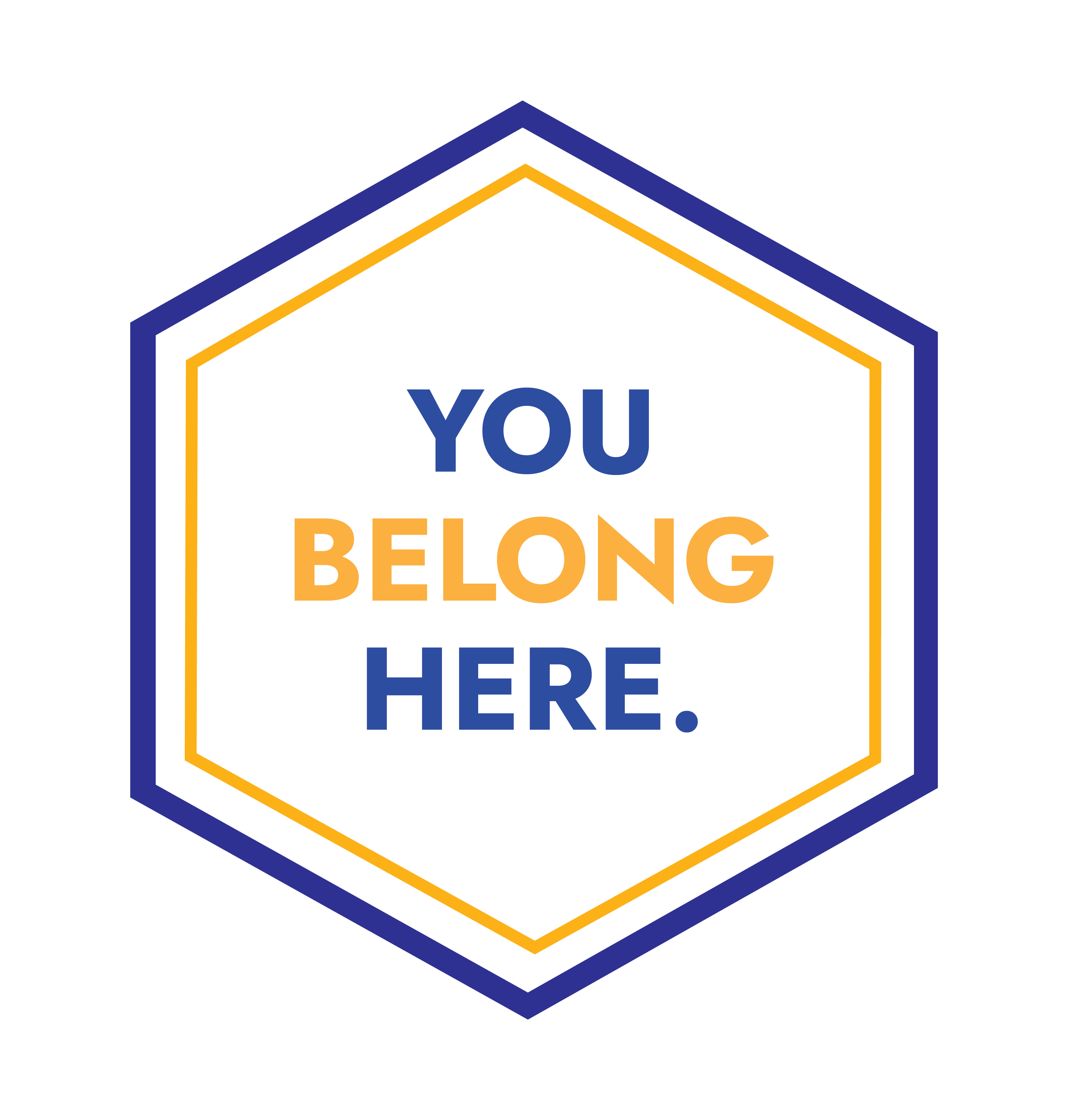 Stripes in the district colors with the words belong, valued, thrive, impact