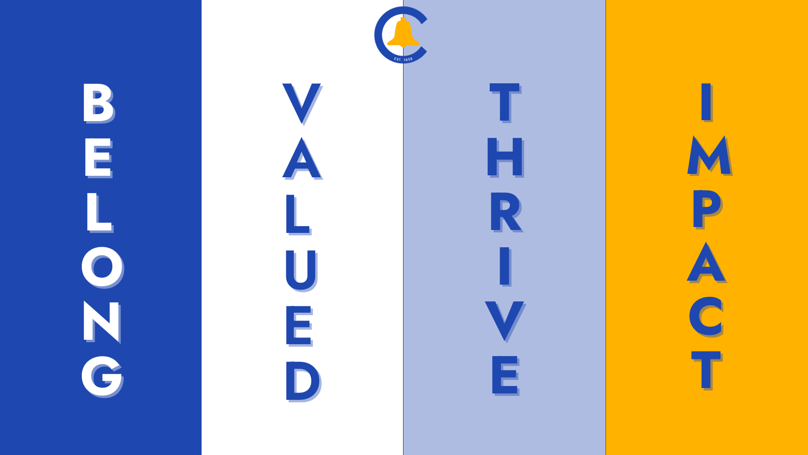 Stripes in the district colors with the words belong, valued, thrive, impact