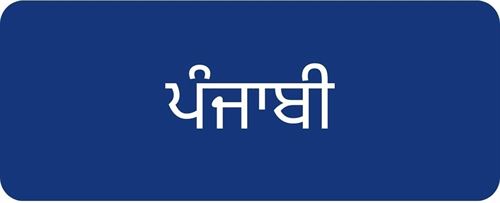 Punjabi click button